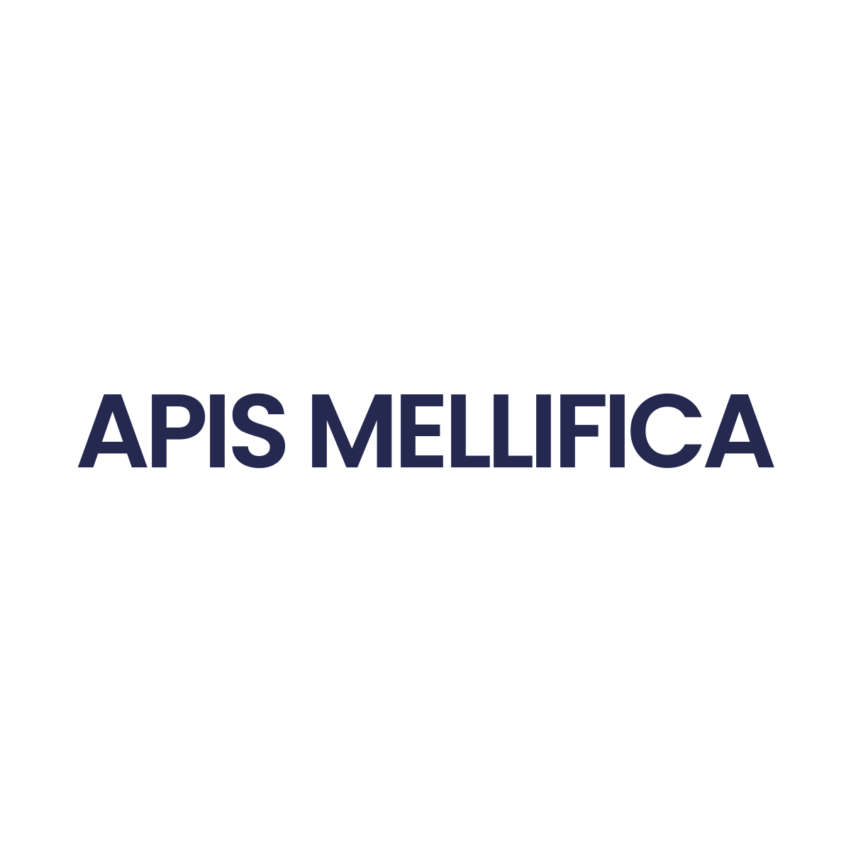 APIS MELLIFICA